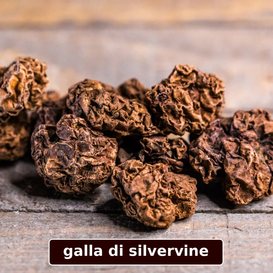 silvervine giapponese