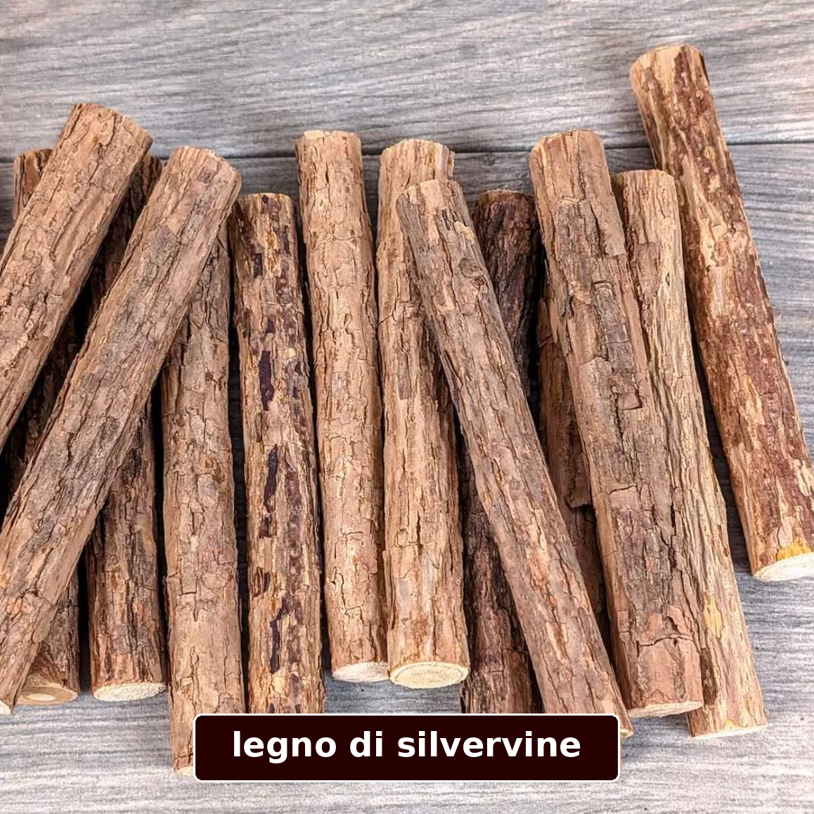 silvervine giapponese
